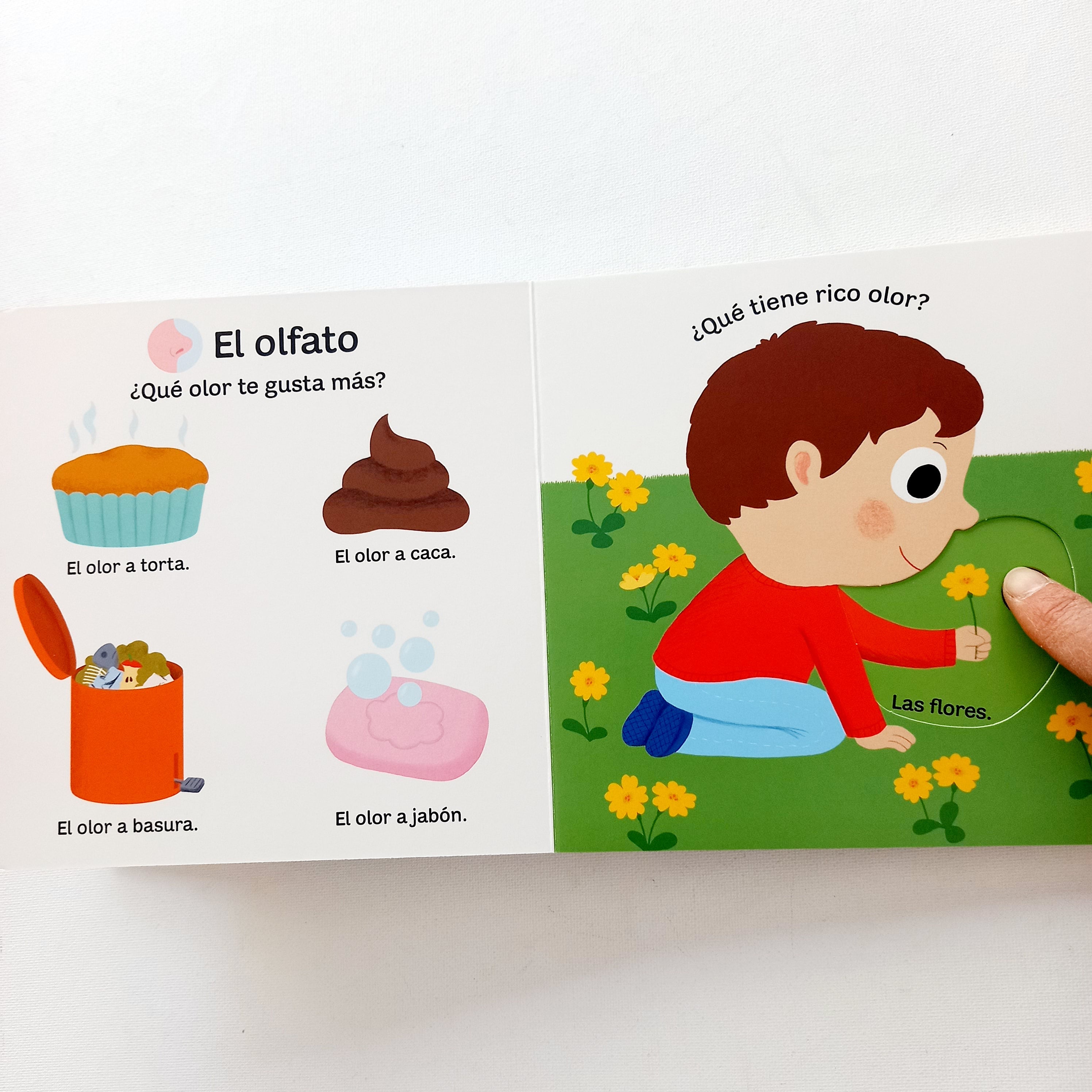 Mi libro de los 5 sentidos. Pequeños curiosos Mi libro de los 5 sentidos. Pequeños curiosos